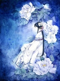 穿越收美传